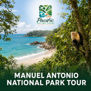 Manuel Antonio National Park Tour