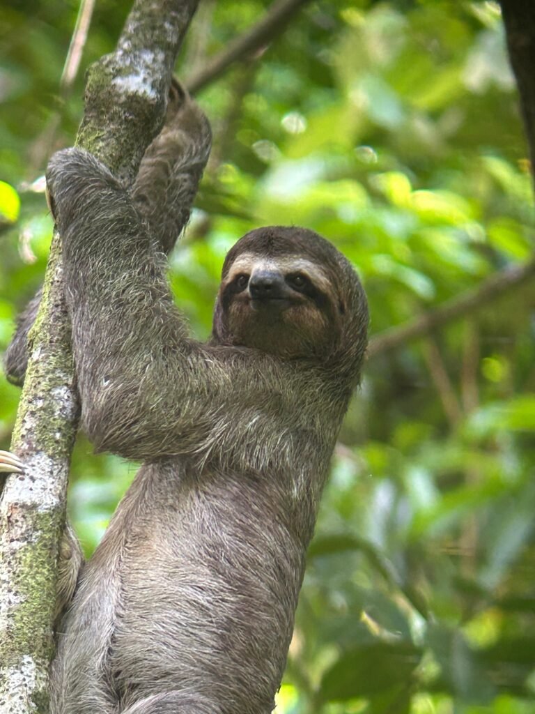 WhatsApp Image 2026-09-10 at 11.08.47
